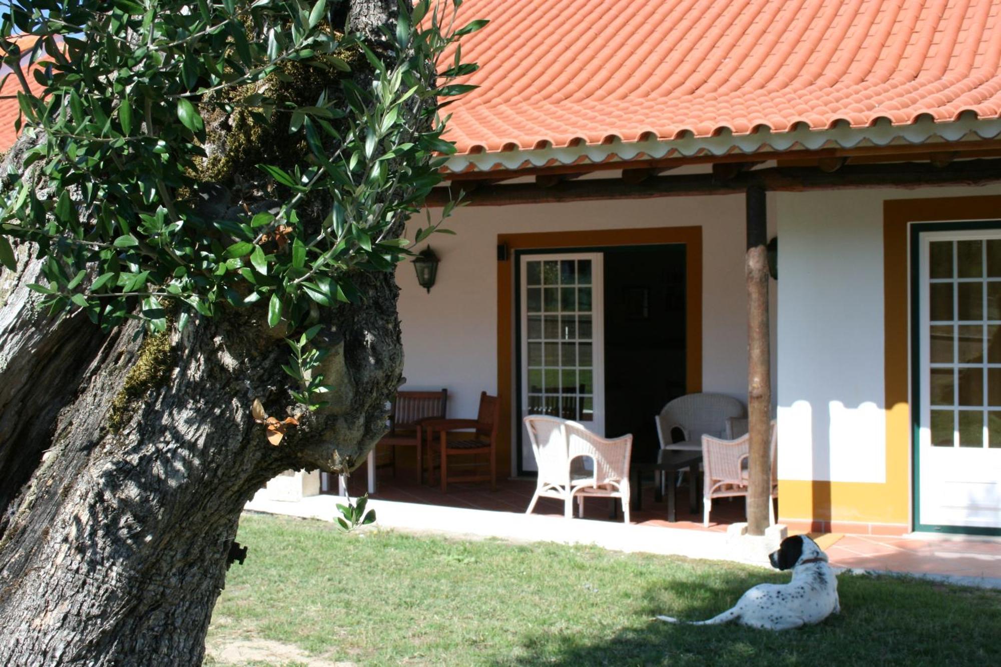 Villa Quinta Da Alcaidaria Mor à Ourém Extérieur photo
